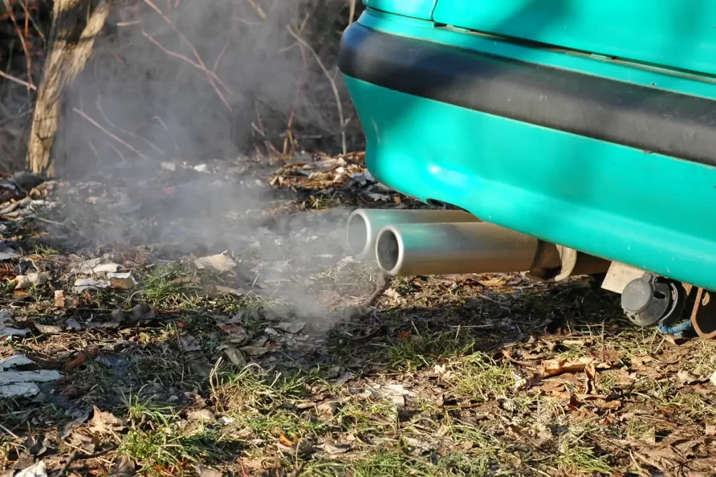 car exhaust fumes near grass and plants