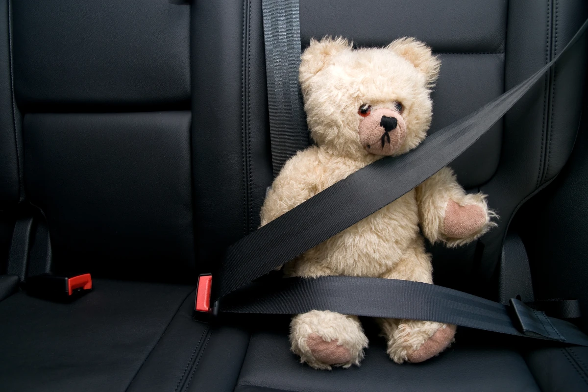 Car security safety teddy with seatbelts